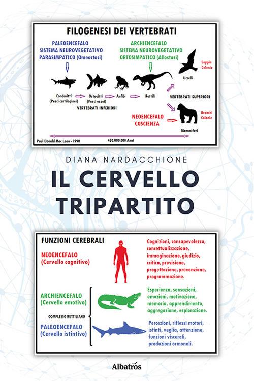 Libro Il cervello tripartito